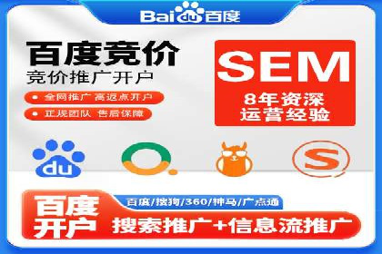 百度竞价广告的投放策略与成功案例分析