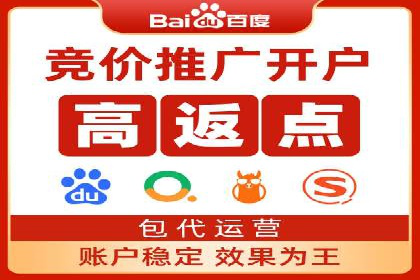 SEM竞价实战：成功案例解析